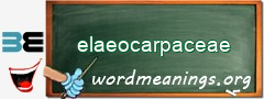 WordMeaning blackboard for elaeocarpaceae